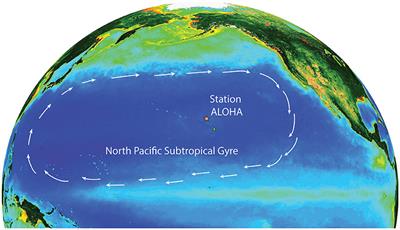 Editorial: Microbial Ecology in the North Pacific Subtropical Gyre